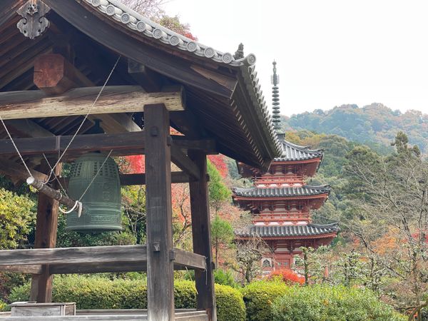 日本・京都府「京都 in 宇治,伏見,嵐山」の写真：やっぱり1日だと京都は堪能出来ない😓
今...