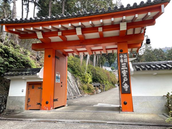 日本・京都府「京都 in 宇治,伏見,嵐山」の写真
