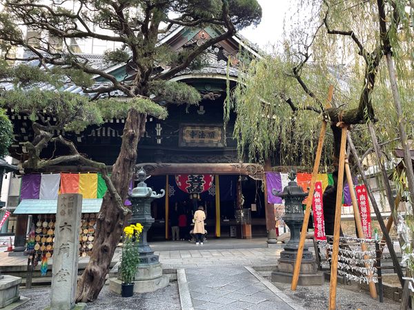 日本・京都府「京都 in 宇治,伏見,嵐山」の写真