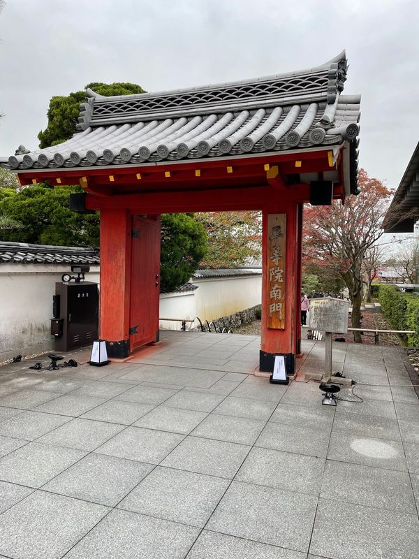 日本・京都府「京都 in 宇治,伏見,嵐山」の写真