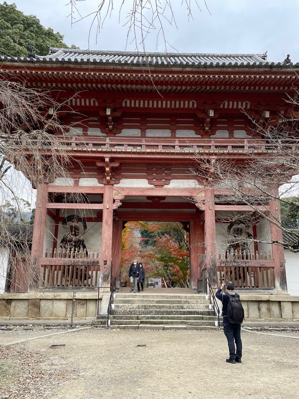 日本・京都府「京都 in 宇治,伏見,嵐山」の写真