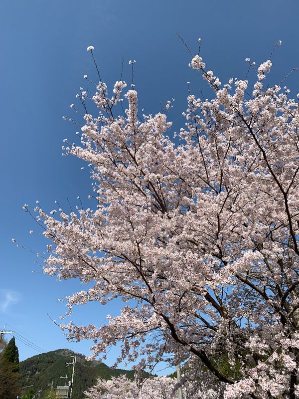 日本・京都府「園部市」の写真