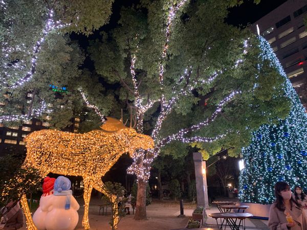 日本・九州「福岡-博多-」の写真：天神から中洲川端までの間もイルミネーショ...