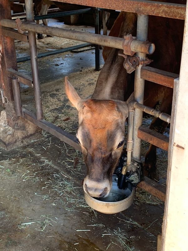 日本・京都府「京丹後」の写真