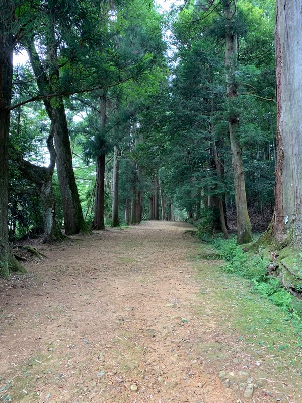 日本・京都府「京丹波〜亀岡」の写真