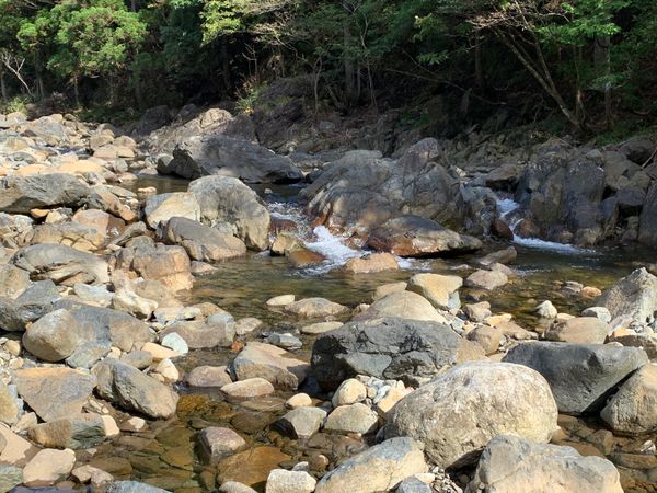 日本・京都府「大江山」の写真