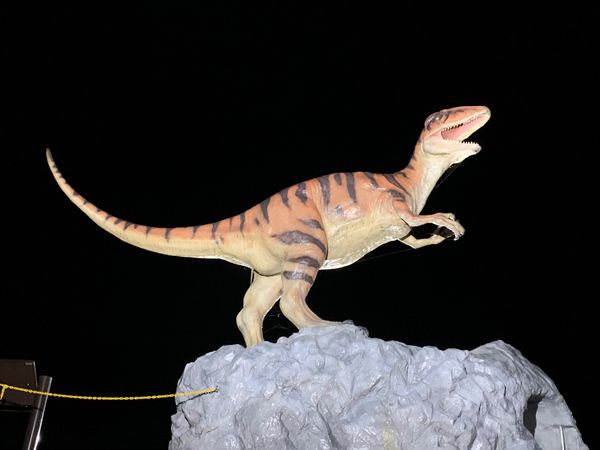 日本・福井県「勝山」の写真