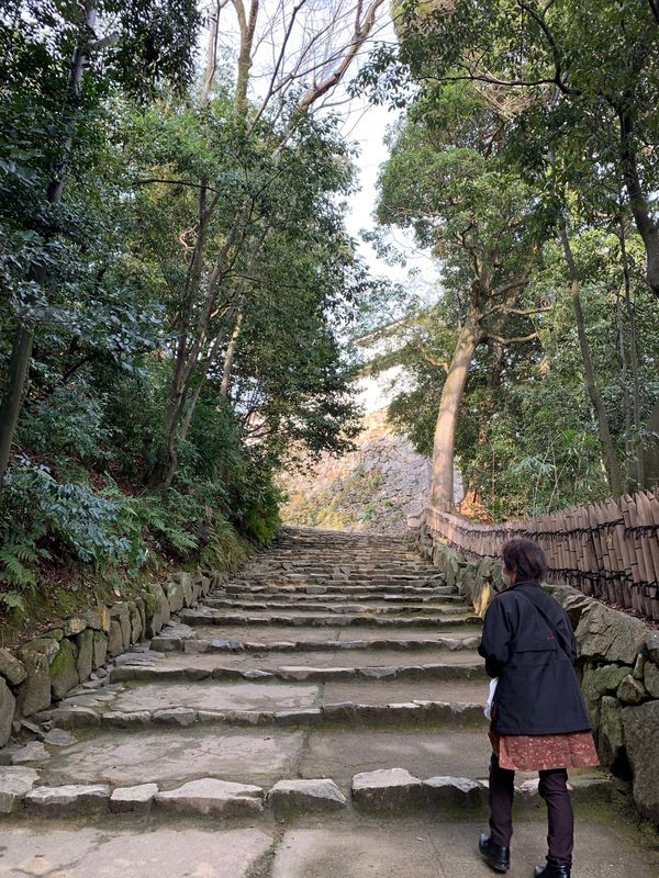 日本・滋賀県「彦根〜高島」の写真