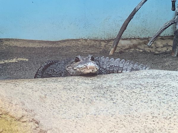 日本・岐阜県「アクアとと岐阜」の写真