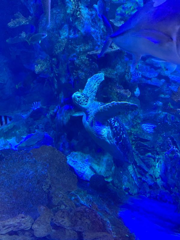 日本・三重県「伊勢〜鳥羽」の写真