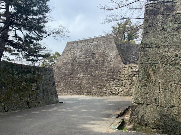 日本・和歌山県「和歌山」の写真