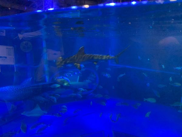 日本・石川県「能登半島」の写真