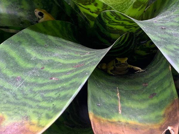 日本・兵庫県「神戸市」の写真