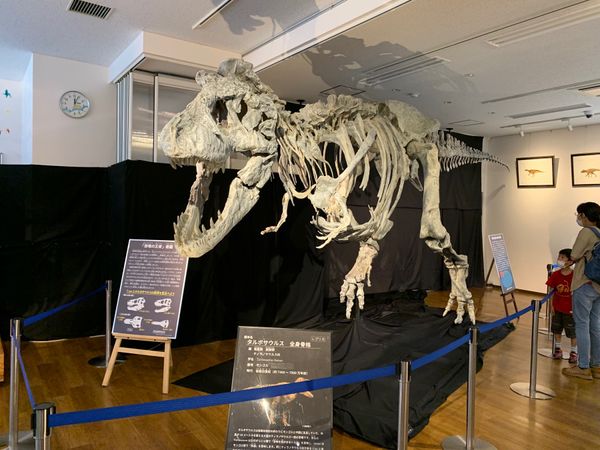 日本・兵庫県「丹波市」の写真