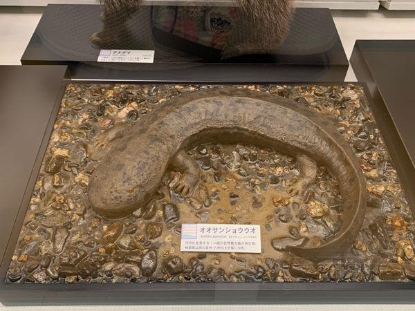 日本・岡山県「倉敷市」の写真