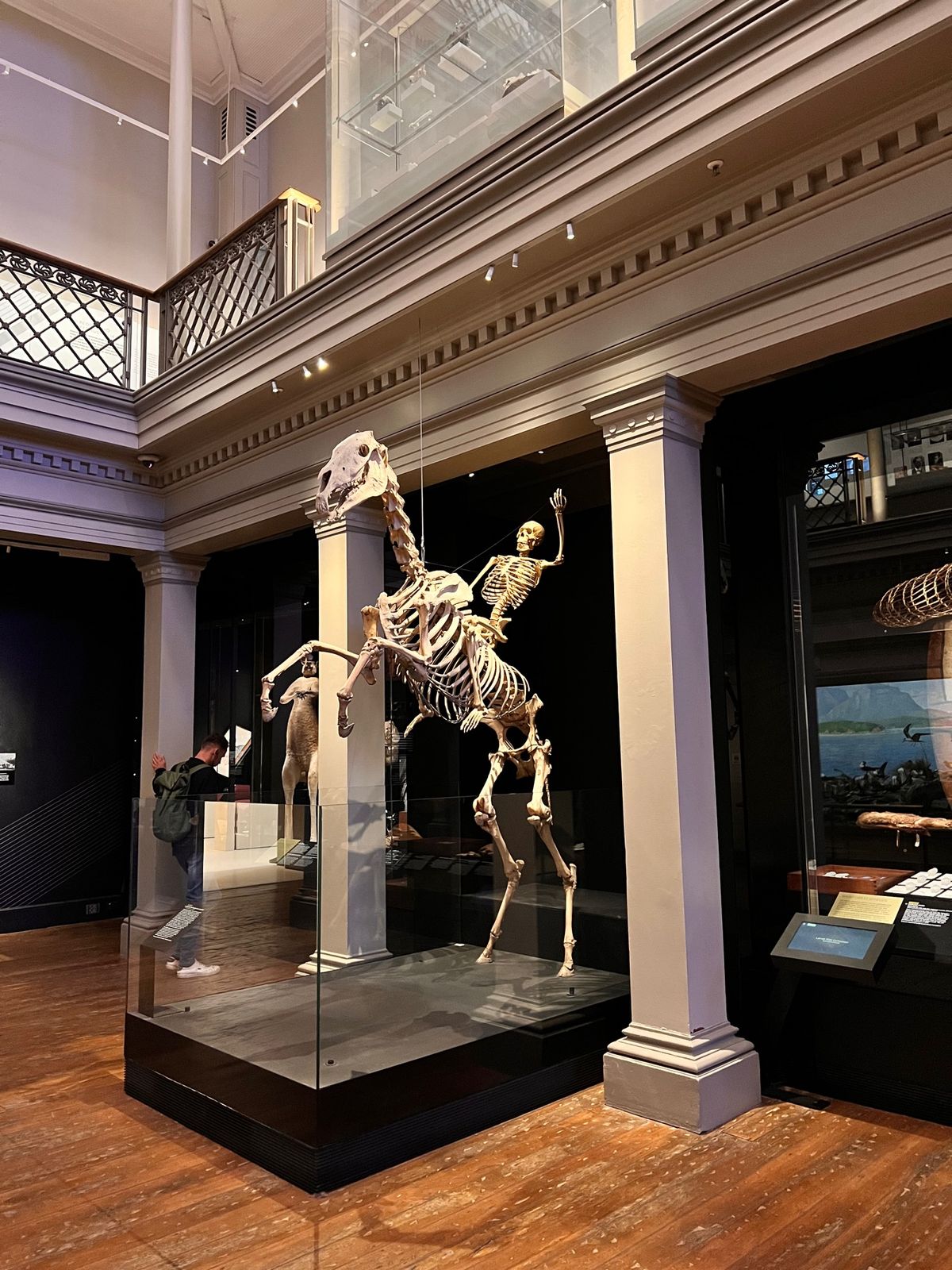 St Mary's Cathedralからのぶらっとしてたらオーストラリア...