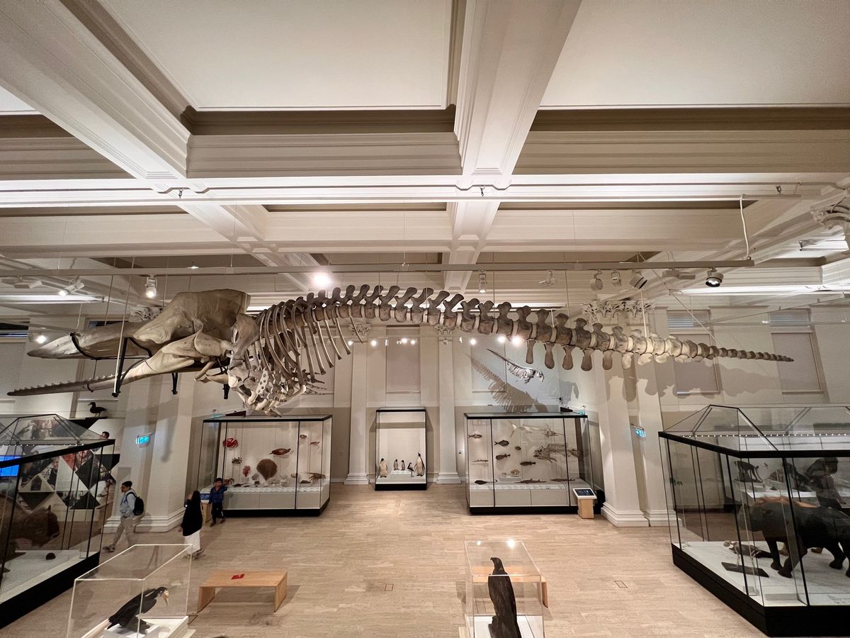 St Mary's Cathedralからのぶらっとしてたらオーストラリア...