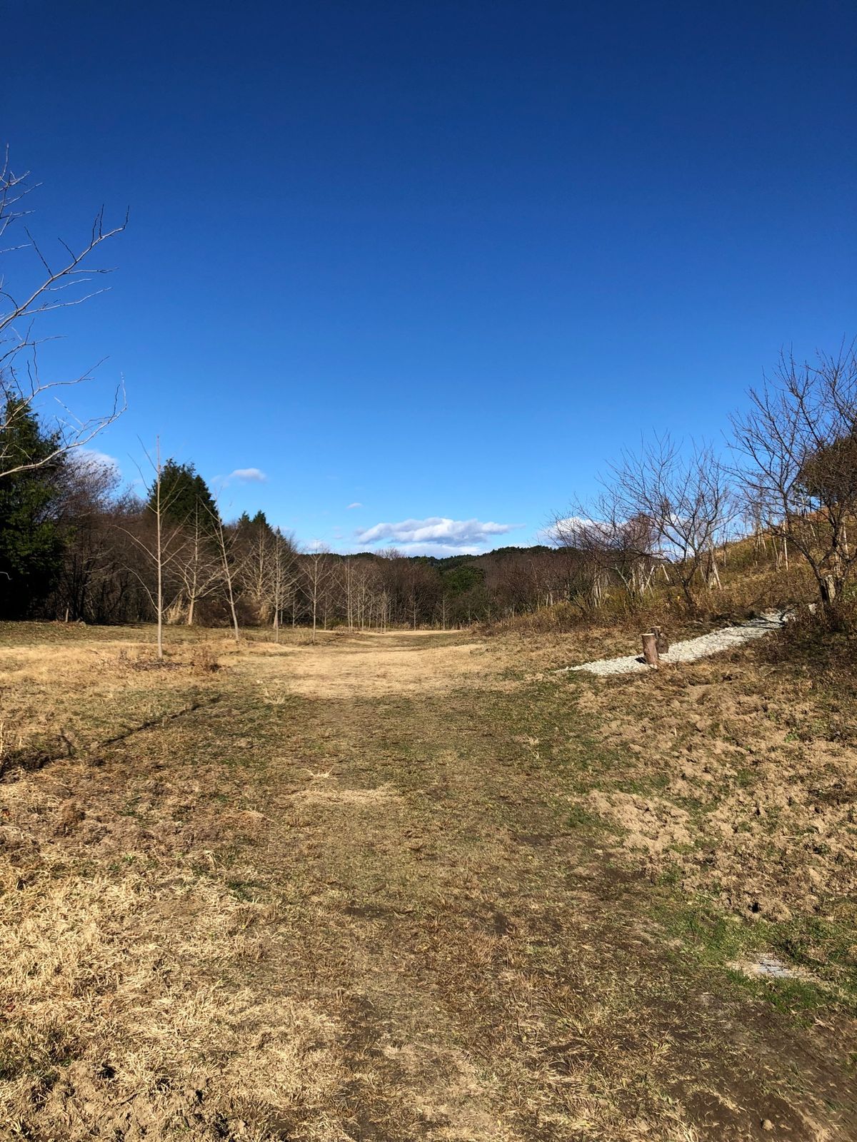 開放的なサンセットホールでヨガ

広い敷地内を、散策