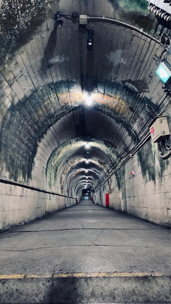 日本・新潟県「新潟上越妙高体験旅」の写真