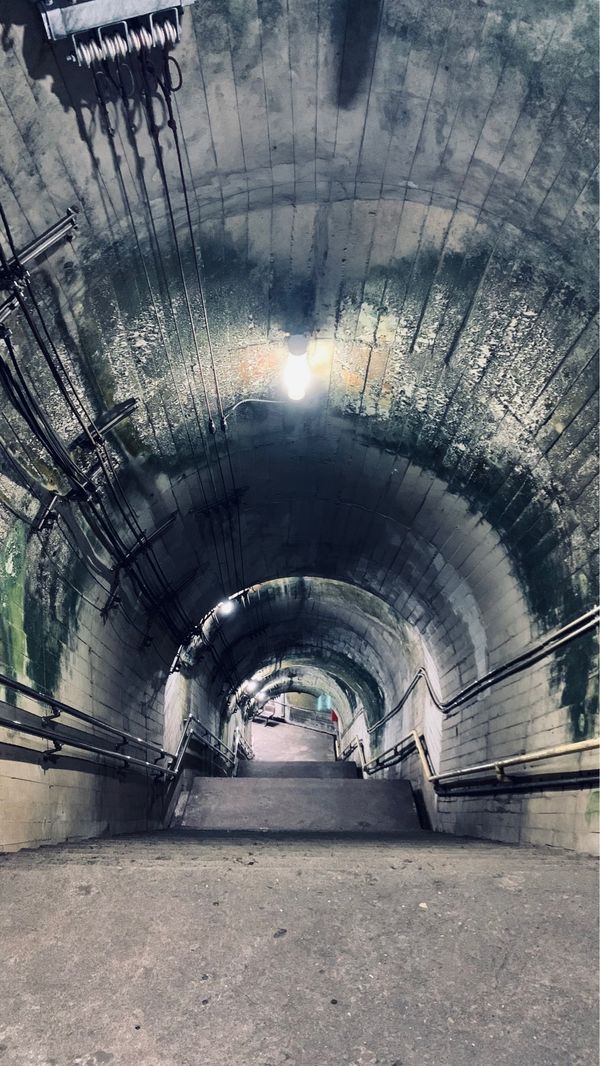 日本・新潟県「新潟上越妙高体験旅」の写真