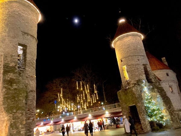 エストニア・タリン「クリスマス北ヨーロッパ巡り(1人旅)」の写真：Tallinn 