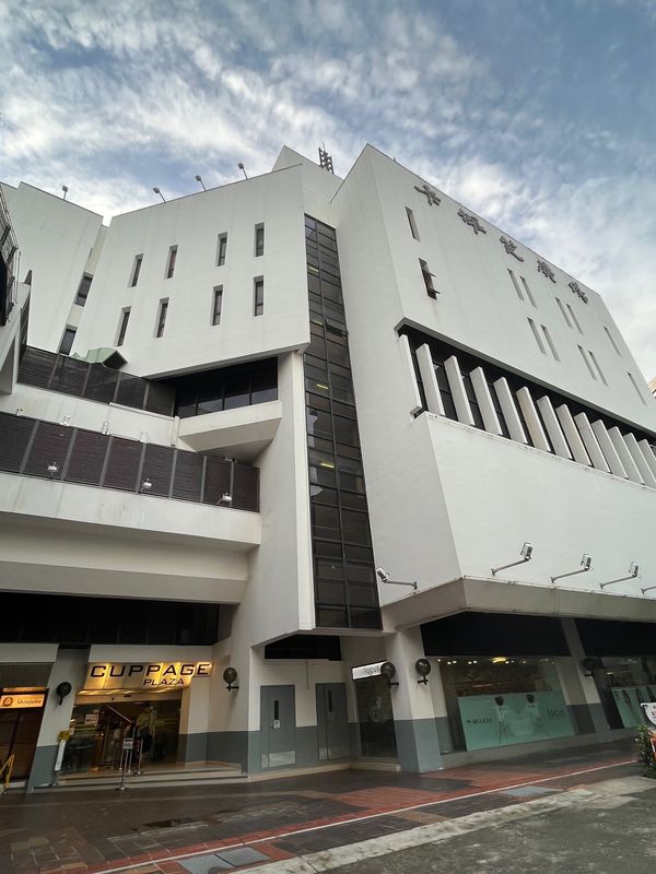 シンガポール・シンガポール「空振り」の写真