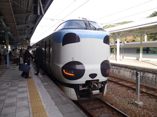 日本・アドベンチャーワールド「🐬白浜・アドベンチャーワールド🐼」の写真：冬でも綺麗な白良浜。
とにかくパンダ尽く...