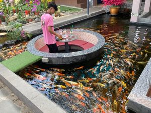 鯉カフェ、味がある雰囲気が面白いけれど、ちょっと面白怖い