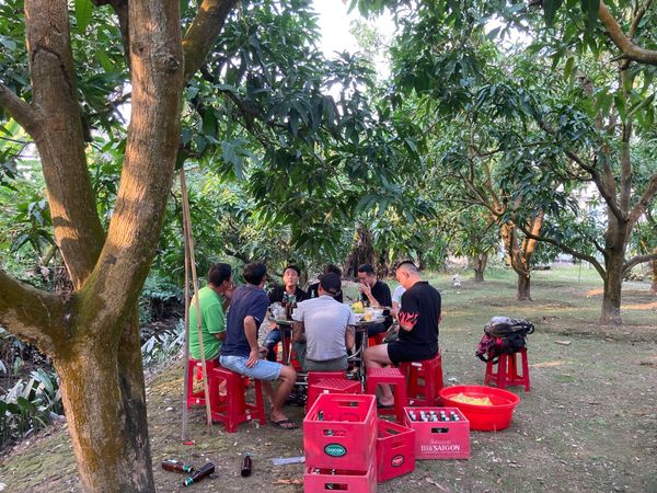 ベトナム・メコンデルタ「ベトナム」の写真：蚊もおらず涼しい果樹園飲み。
栓抜き要ら...