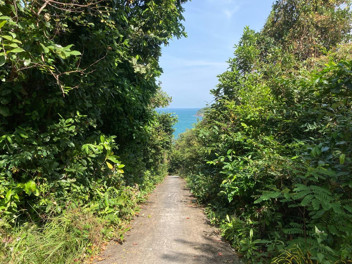 2日目、ちょっと探検しに急坂の裏道へ。細い山道を走り抜けると、海に出ました...