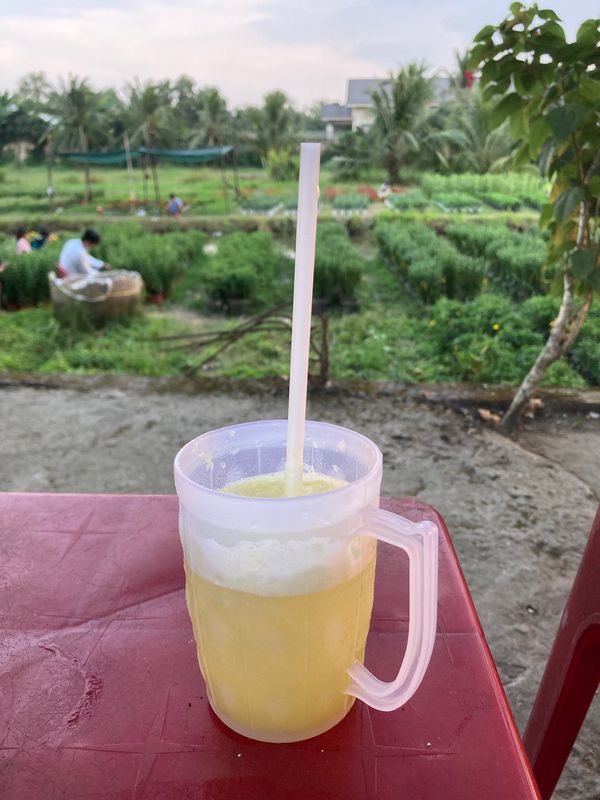 ベトナム・メコンデルタ「ベトナム」の写真：サトウキビジュース約30円とヘビ鍋