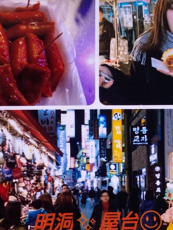 大韓民国 (韓国)・ソウル「娘の卒業祝旅行In韓国」の写真：明洞、南大門市場、Nｿｰﾙﾀﾜｰ。
美味...