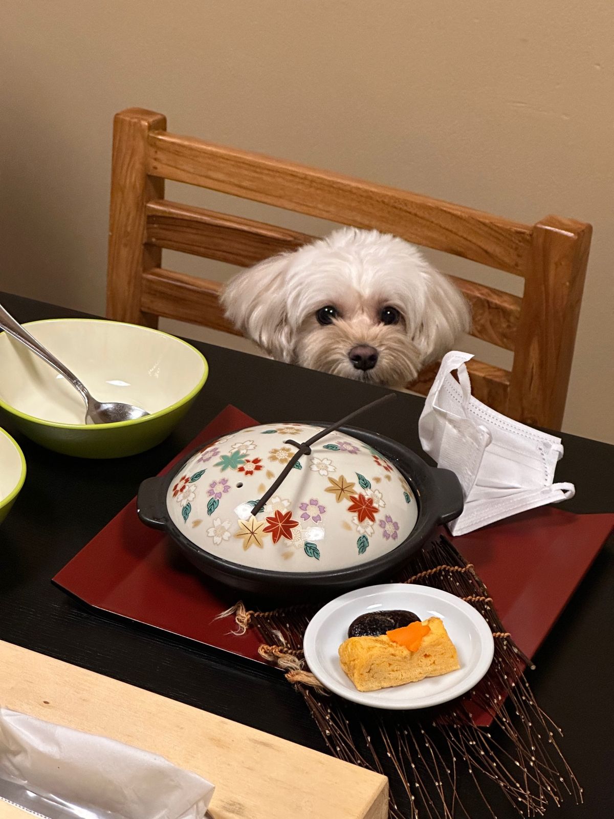 朝ごはんと室内ドッグラン

2枚目は犬用のササミの料理。
卵焼きは食べなか...