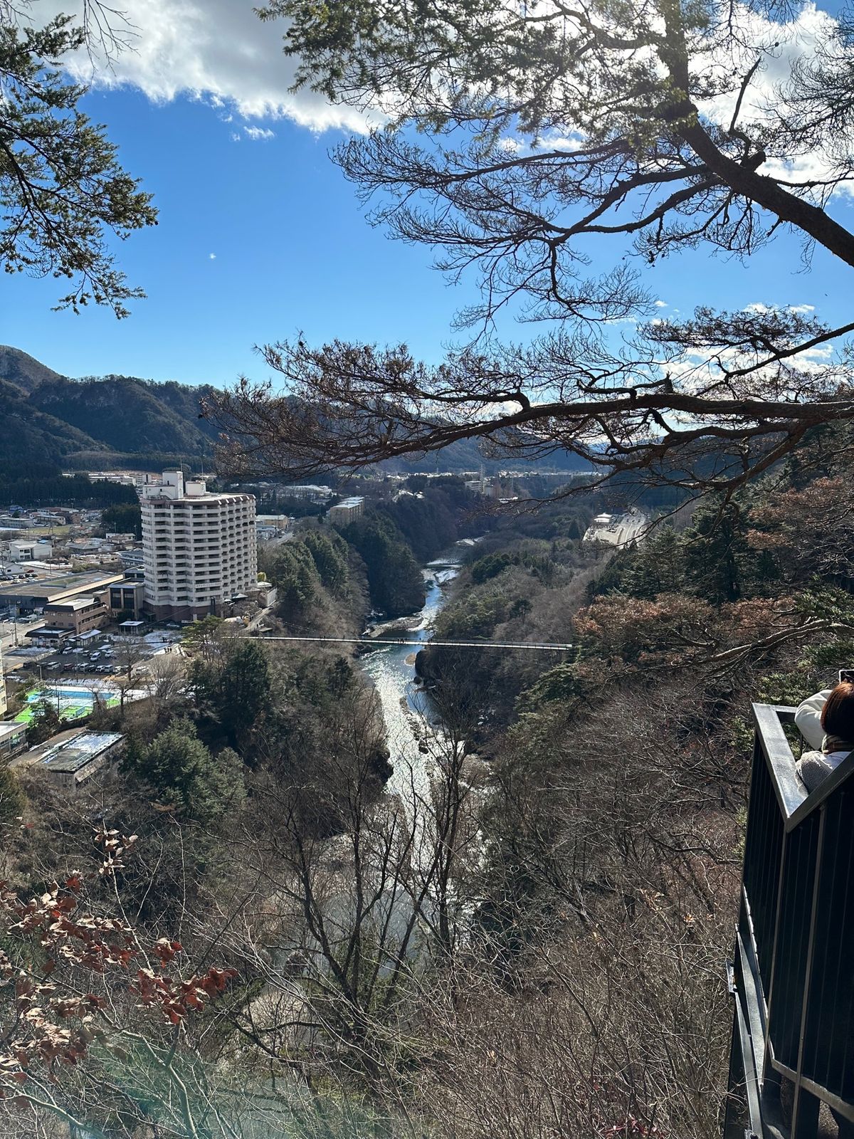 鬼怒楯岩大吊橋

旅館から車で1分

展望台からの景色がよかった。