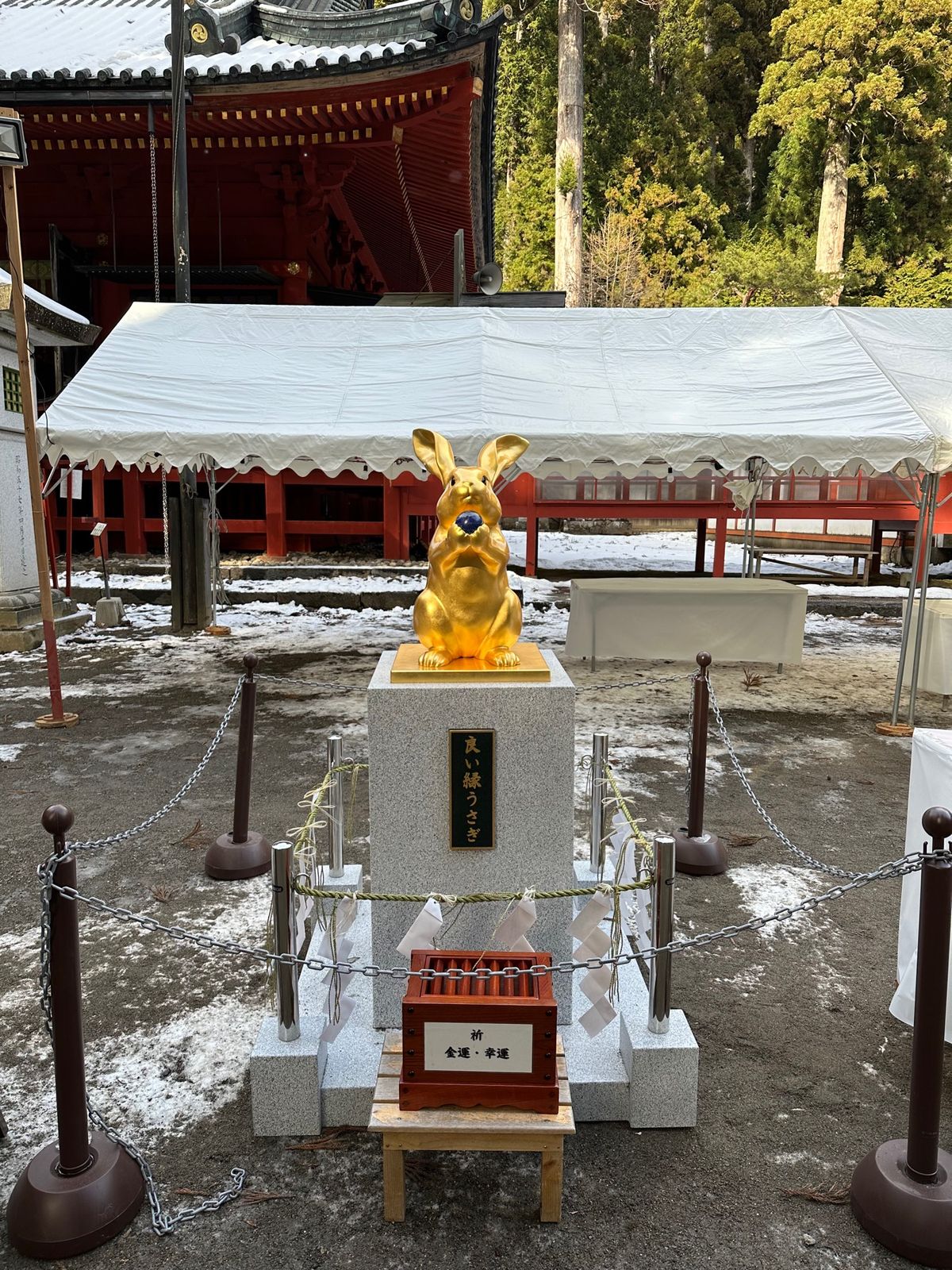 日光東照宮

多分30年近く前に行ったきりだと思う。全く記憶なし。その時は...