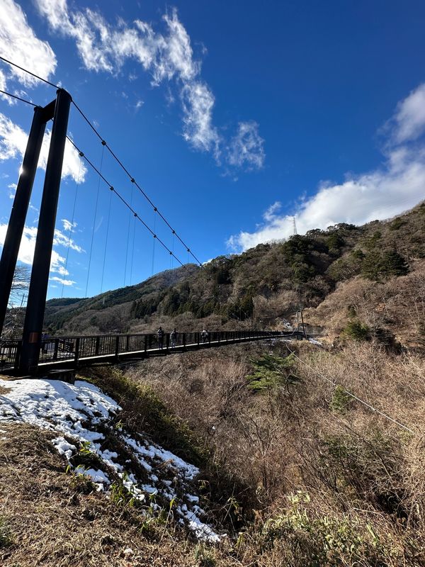 日本・鬼怒川温泉「ペットと泊まれる温泉「鬼怒川 絆」」の写真：鬼怒楯岩大吊橋

旅館から車で1分

展...