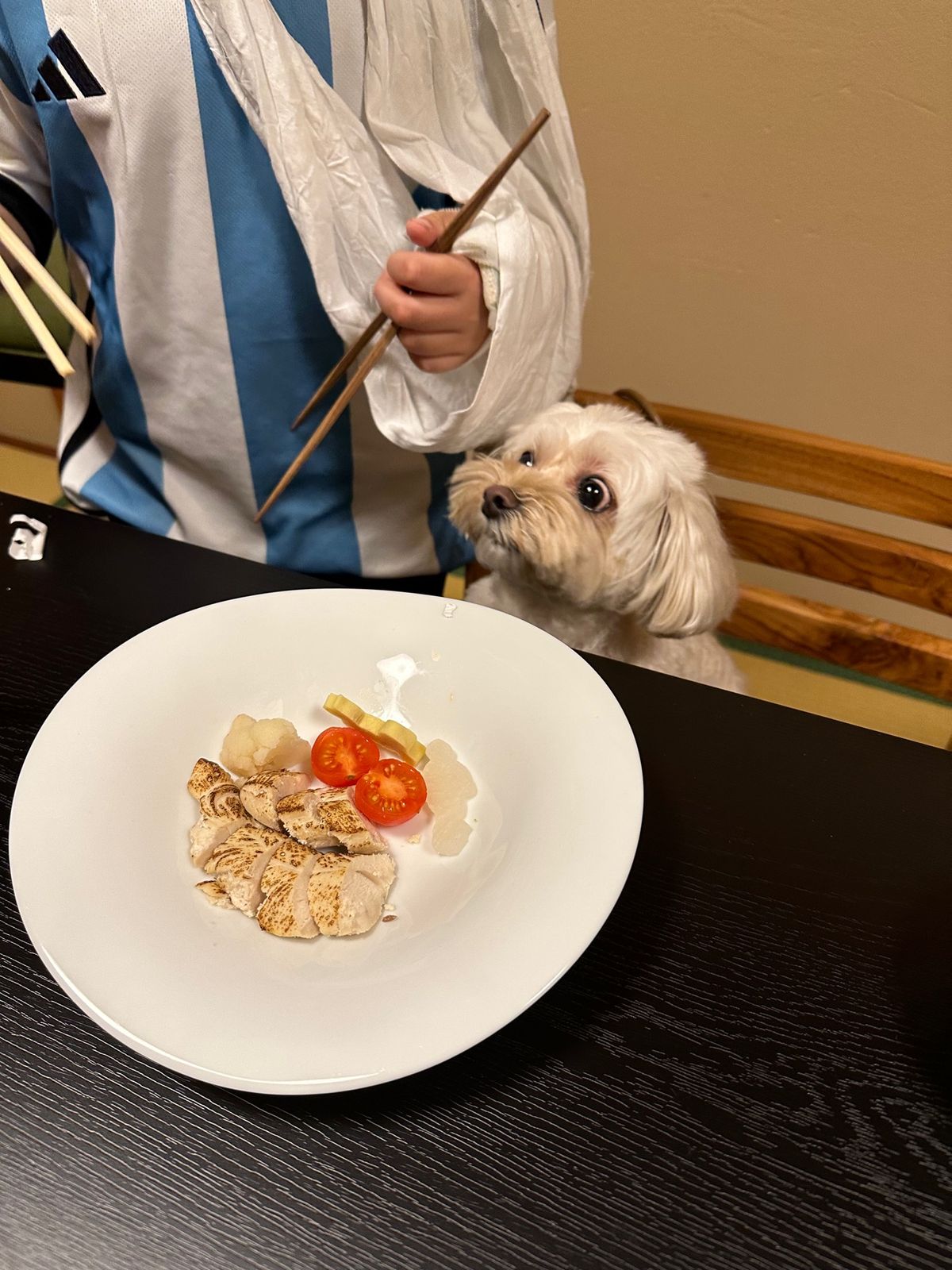 ペット泊まれる「鬼怒川 絆」に到着！

スタッフさんみんな親切。犬にも優し...