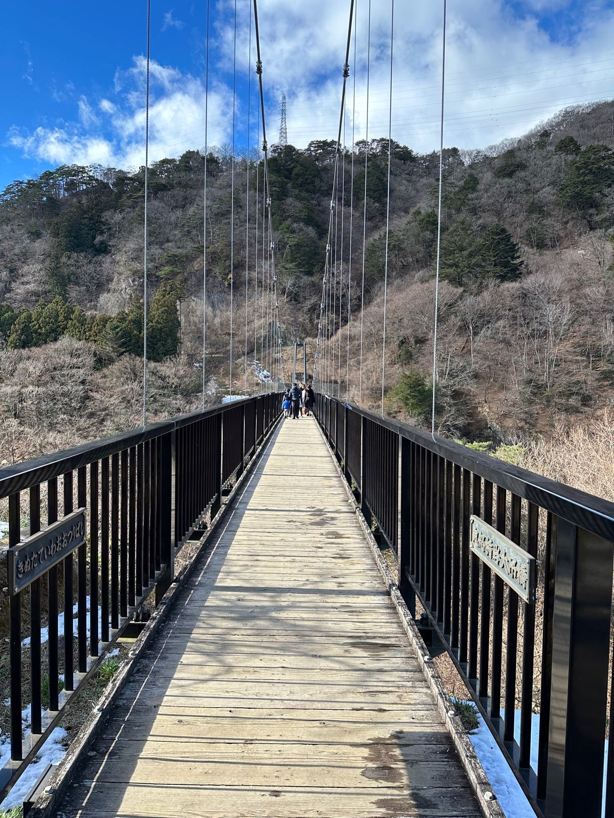 鬼怒楯岩大吊橋

旅館から車で1分

展望台からの景色がよかった。