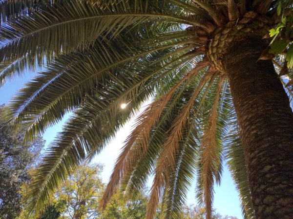 スペイン・バルセロナ「ぼっち旅」の写真