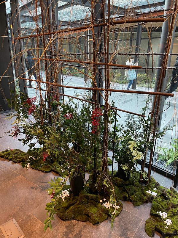 日本・神奈川県「冬休みの始まり」の写真