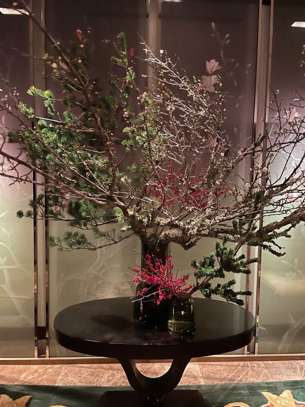 日本・神奈川県「冬休みの始まり」の写真