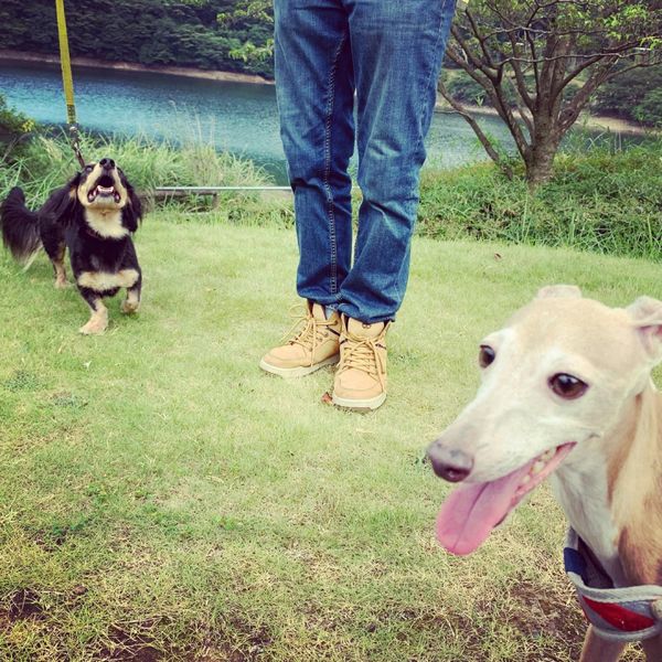 日本・静岡県「Aug. 2020 静岡　ワンワンの旅」の写真
