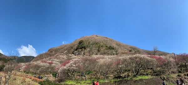 日本・神奈川「Feb. 2020 神奈川　湯河原の旅」の写真