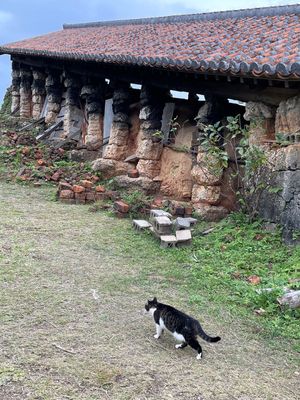 読谷村のやちむんの里に行きました。　
やちむんはやきもののこと。なぜか猫が...