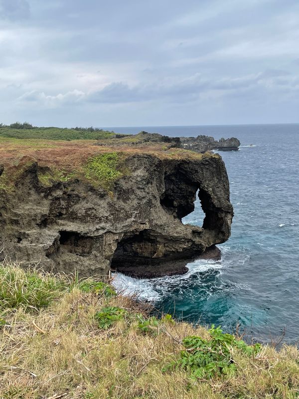 日本・沖縄県「やんばるでちむどんどん！」の写真：ご無沙汰です。
万座毛に行った後、名護方...