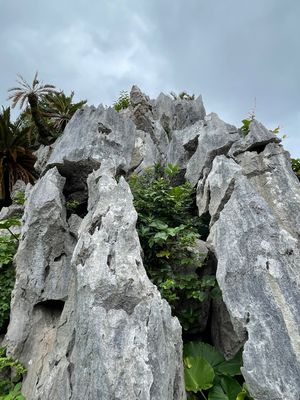 行きたかった沖縄本島最北端に位置する大石林山。
ユーミンもお気に入りのパワ...