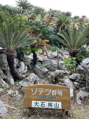 こちらも大石林山。
個人で歩くガジュマル森林コース内にあるパワーの強い御願...