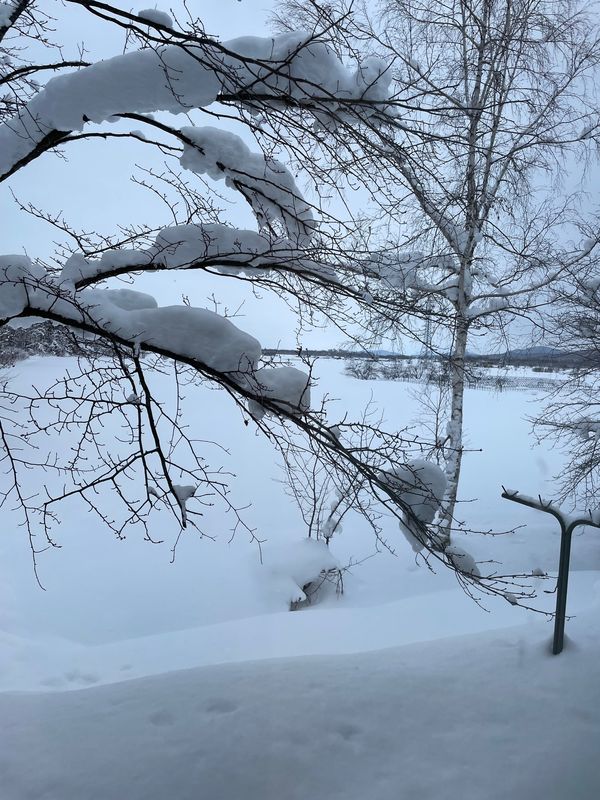 日本・北海道「旭川 札幌 小樽」の写真