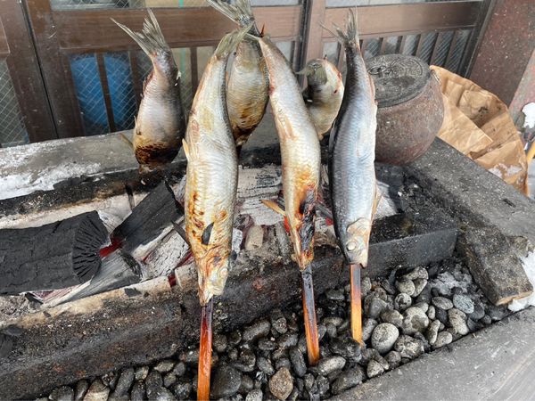 日本・北海道「旭川 札幌 小樽」の写真