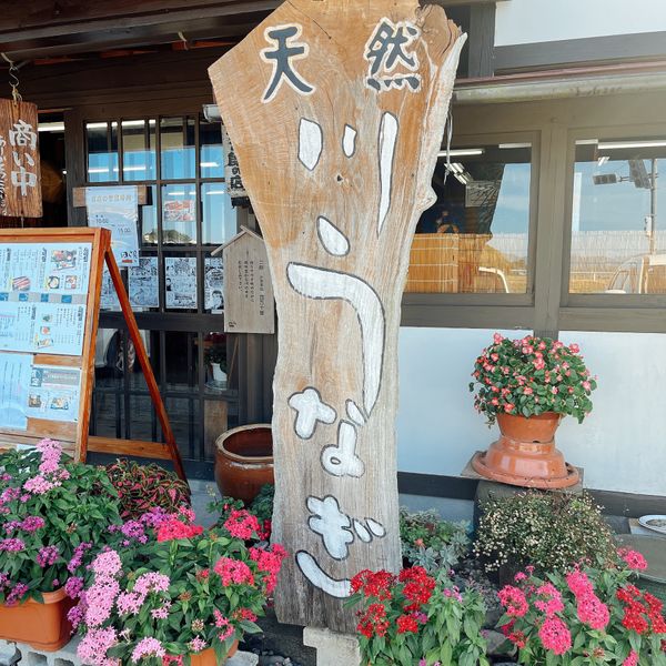 日本・高知県「高知県西部」の写真：四万十屋 鰻重